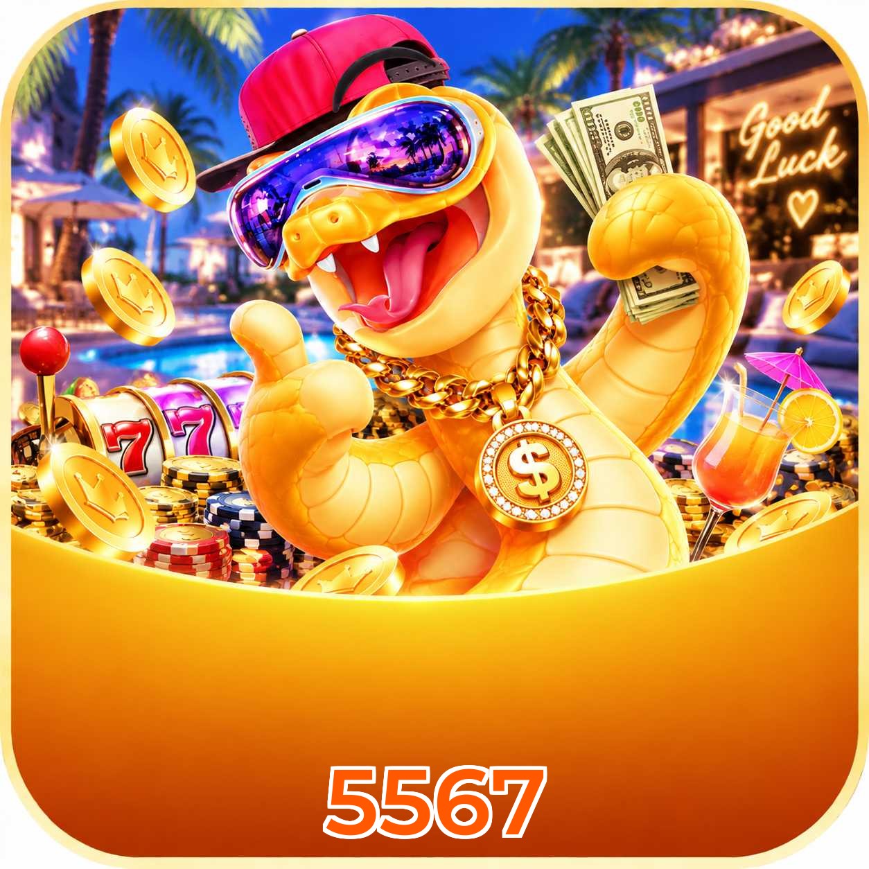 5567 Live Dealers