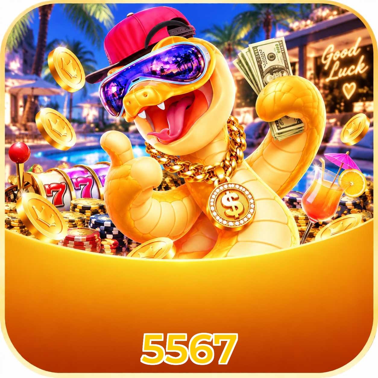 5567 atualizar e desinstalar app