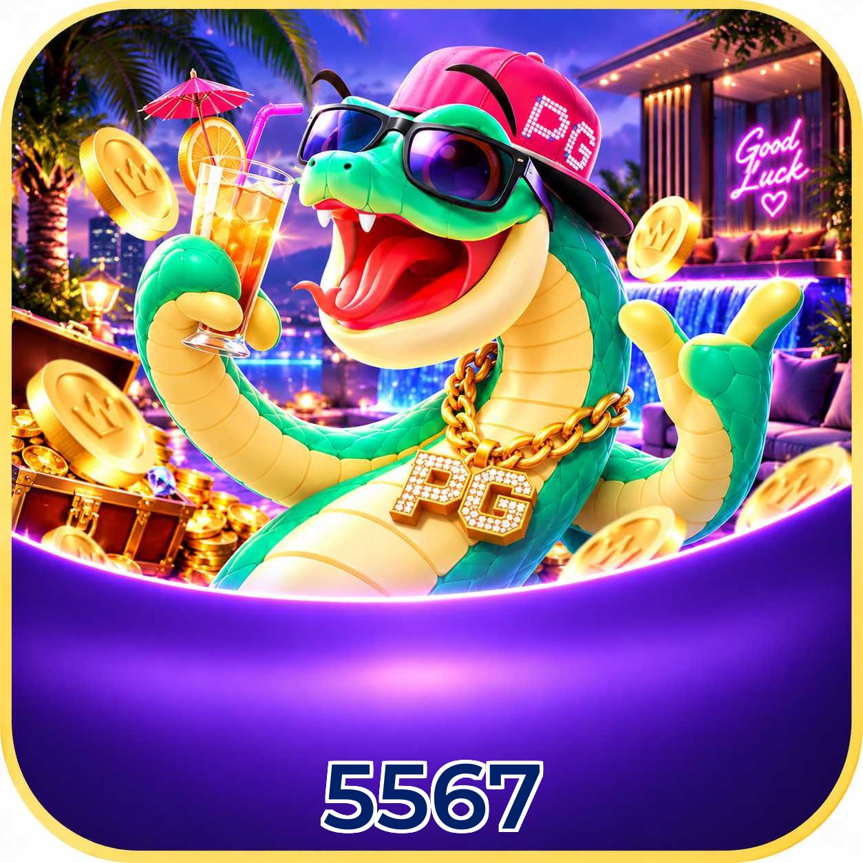 5567 Métodos de Login