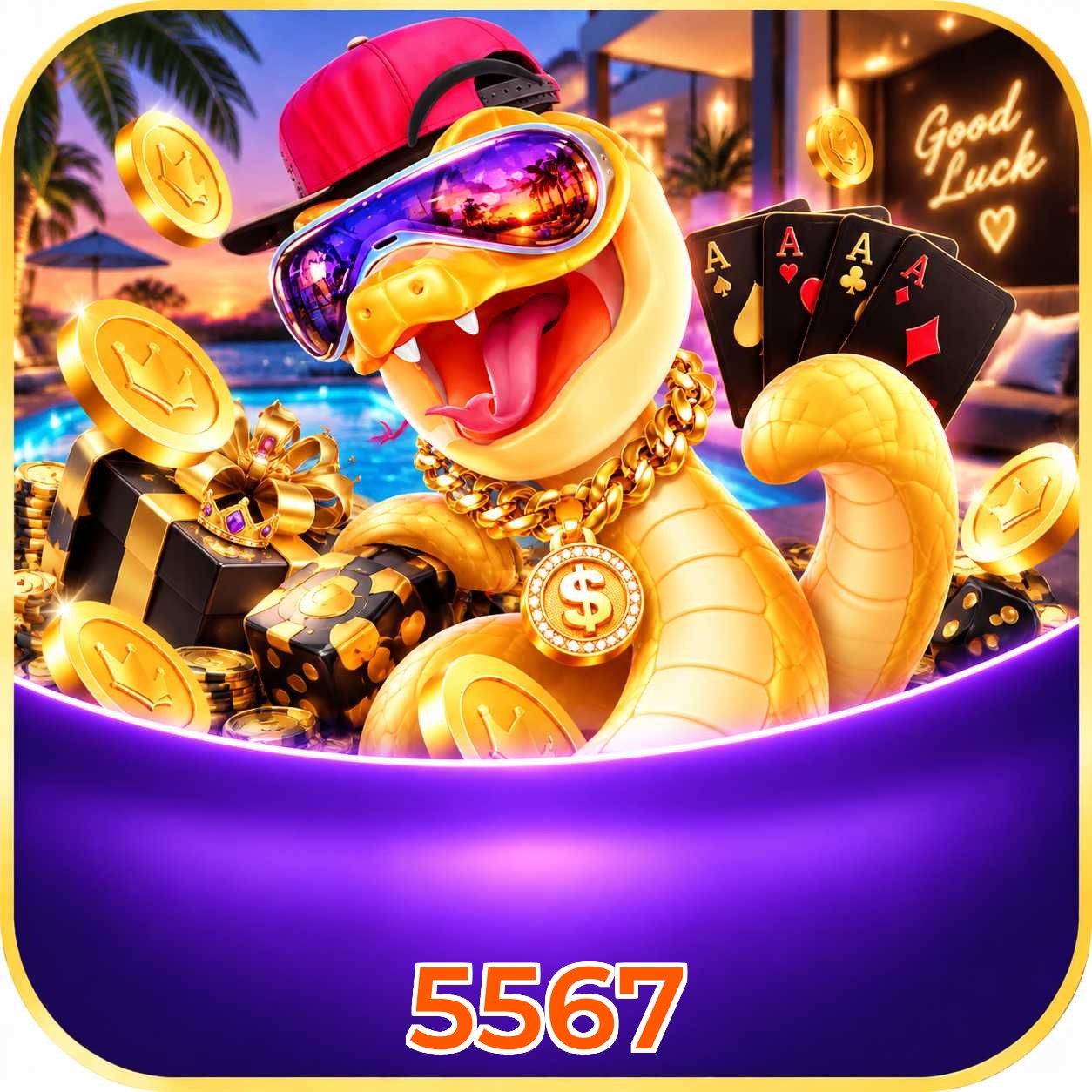 5567 Compatibilidade