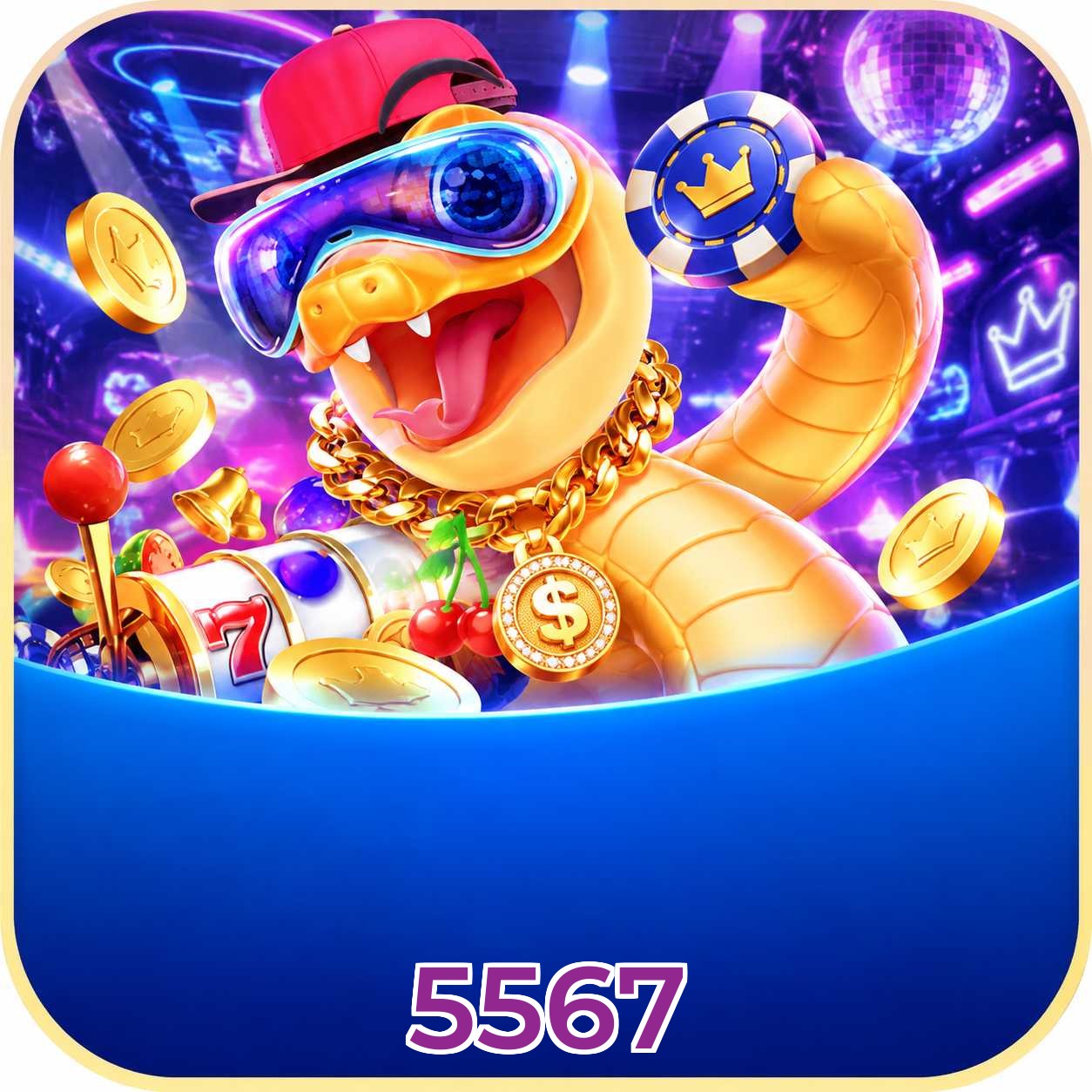 5567 Compatibilidade